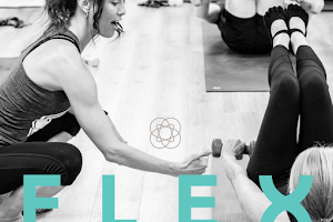 Flex Body image