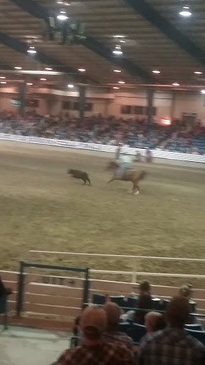 Stadium «Calsonic Arena», reviews and photos, 721 Whitthorne St, Shelbyville, TN 37160, USA