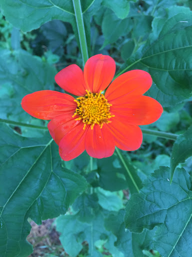 Park «Elm Creek Park Reserve», reviews and photos, 12400 James Deane Pkwy, Maple Grove, MN 55369, USA