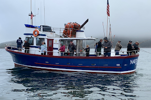 Brookings Fishing Charters LLC image