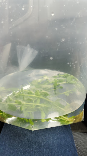 Pet Supply Store «Petco Animal Supplies», reviews and photos, 7223 Coastal Blvd, Brooksville, FL 34613, USA