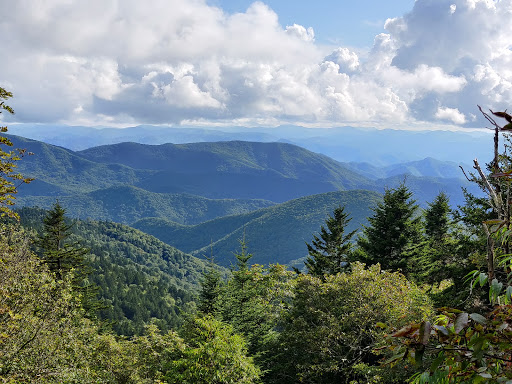 Richland Balsam Nature Loop Trail