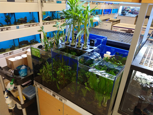 Pet Supply Store «Petco Animal Supplies», reviews and photos, 8644 E 96th St, Fishers, IN 46038, USA