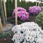 Photo n°17 de l'avis de Josef.e fait le 09/02/2024 à 15:42 sur le  Hotel Bavaria à Sandersdorf-Brehna