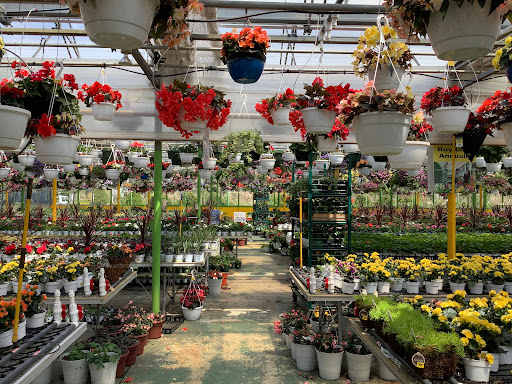 Florist «Dutch & Olgas Greenhouse», reviews and photos, 1285 NJ-36, Hazlet, NJ 07730, USA