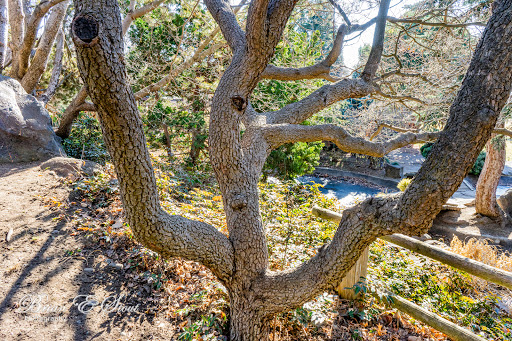 Arboretum «Yakima Area Arboretum», reviews and photos, 1401 Arboretum Dr, Yakima, WA 98901, USA
