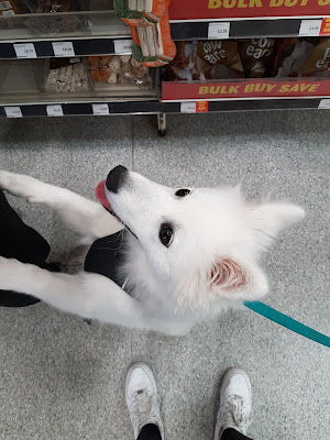 Pets at Home Hull
