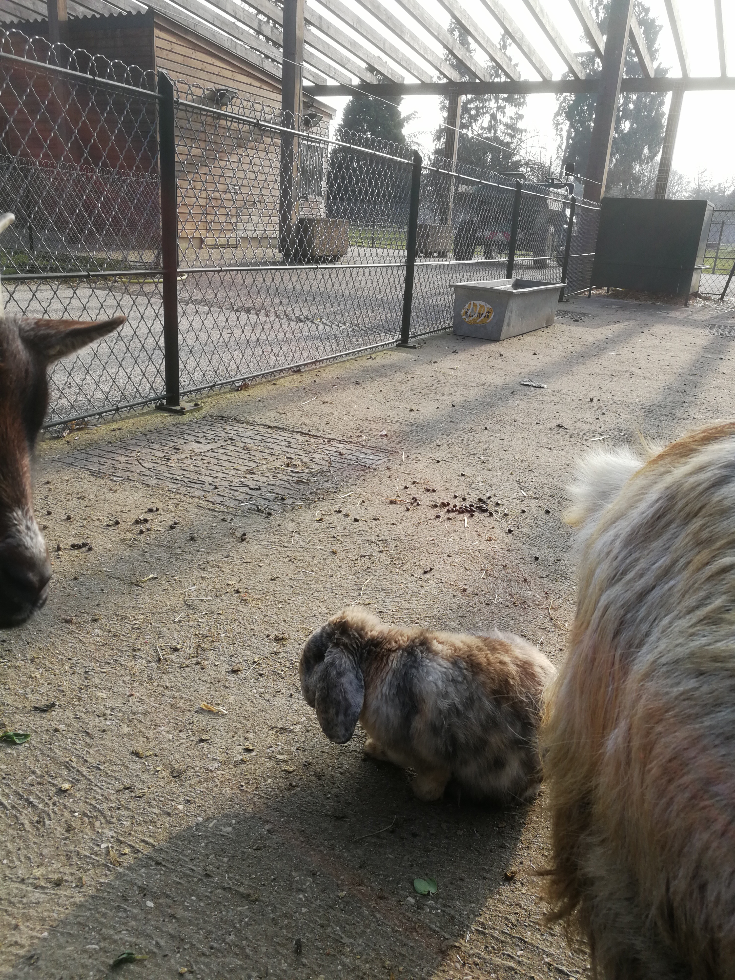 Photo n° 5 de l'avis de Vincent.t fait le 24/02/2018 à 15:49