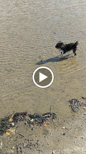 Park «Marine Park», reviews and photos, 49 Farragut Rd, Boston, MA 02127, USA