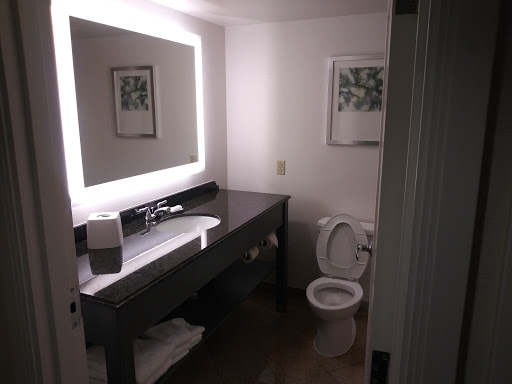 Hotel «Delta Hotels by Marriott Chesapeake», reviews and photos