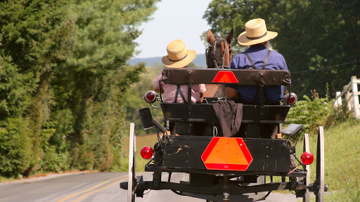 Heritage Museum «The Amish Farm and House», reviews and photos, 2395 Covered Bridge Dr, Lancaster, PA 17602, USA