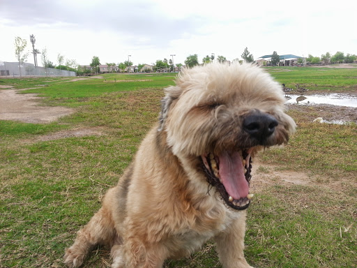 Park «Trailside Point Park», reviews and photos, 7215 W Vineyard Rd, Laveen Village, AZ 85339, USA