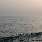 Photo n°3 de l'avis de Enrico.i fait le 09/09/2021 à 11:25 sur le  ristorante Free Beach à Castel Porziano