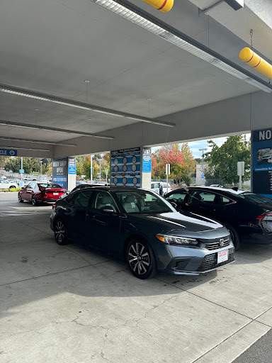 Avery Greene Honda image