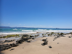 Zdjęcie Little Wategos Beach z przestronna zatoka
