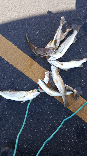 Clothing Store «Nike Factory Store», reviews and photos, 10700 Factory Shop Blvd, Gulfport, MS 39503, USA