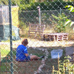 Photo n°3 de l'avis de marco.a fait le 11/08/2018 à 18:25 sur le  Locanda Dell'Asino D'Oro à Introdacqua