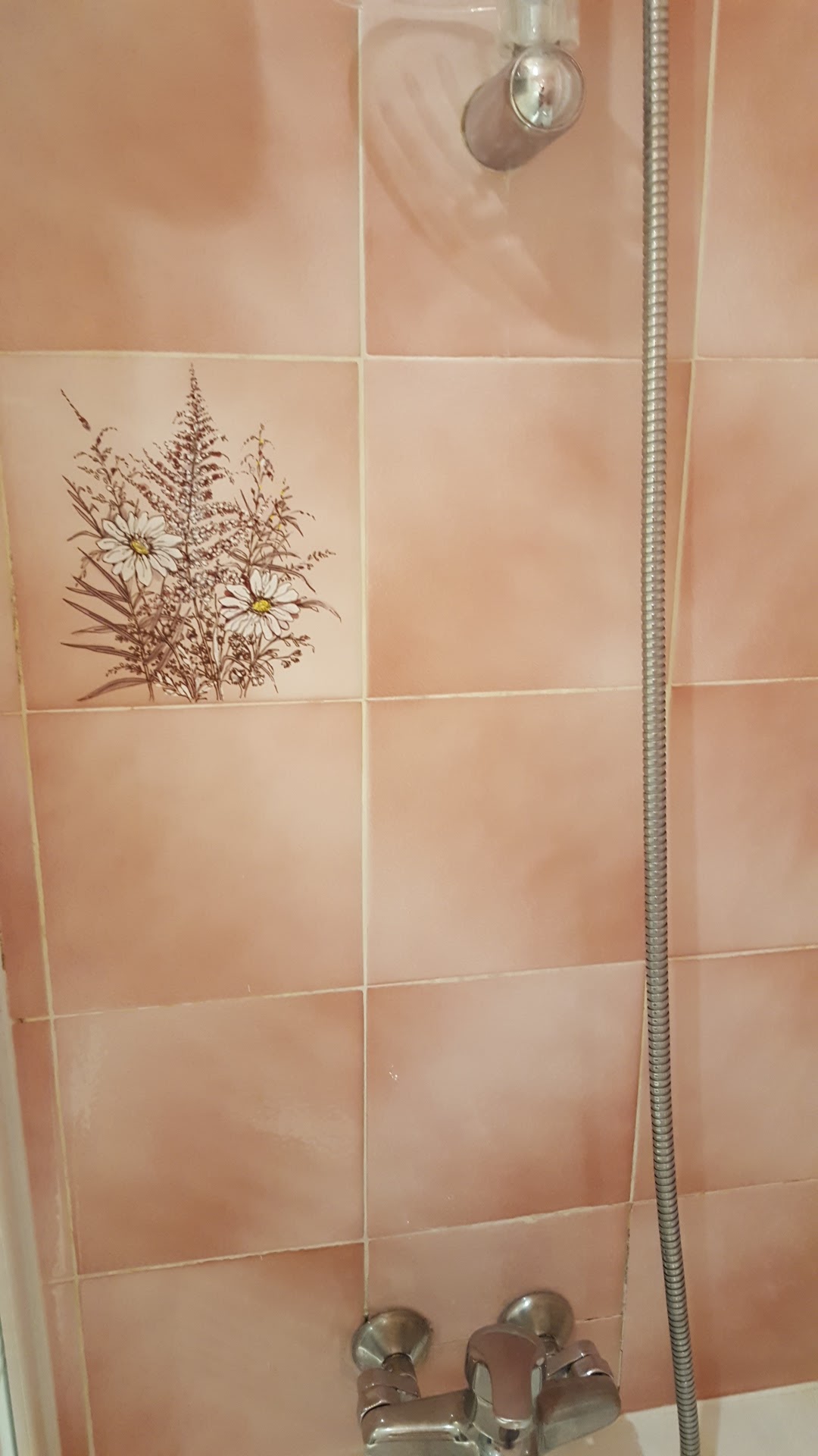 Photo n° 2 de l'avis de Plante.a fait le 05/06/2019 à 20:53