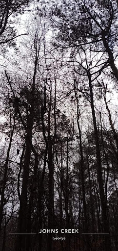 Nature Preserve «Autrey Mill Nature Preserve & Heritage Center», reviews and photos, 9770 Autrey Mill Rd, Johns Creek, GA 30022, USA