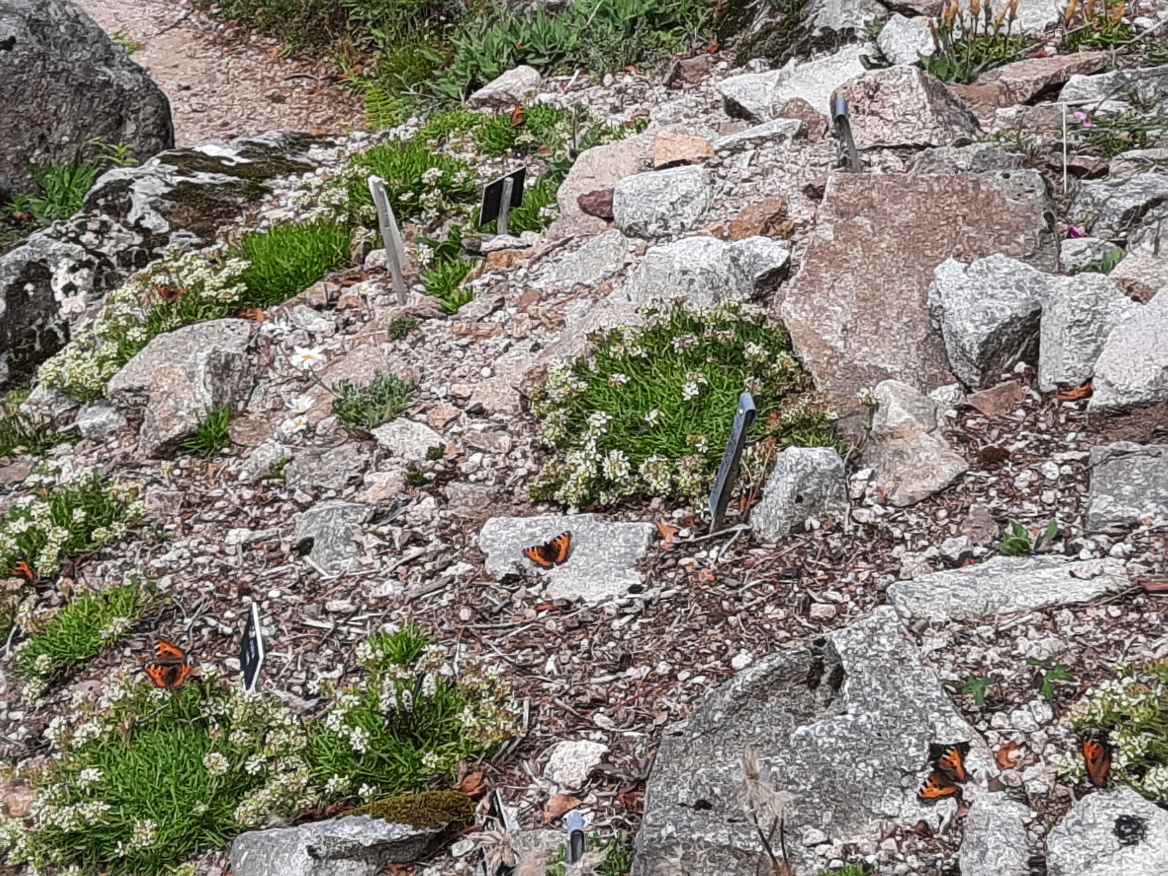 Photo n° 35 de l'avis de Victoria.e fait le 22/06/2020 à 21:37