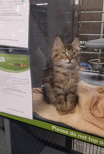 Pet Store «PetSmart», reviews and photos, 147 Bath Rd a140, Brunswick, ME 04011, USA