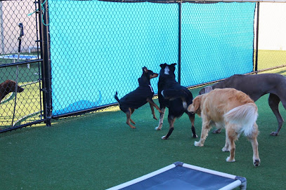 Bark Away Doggie Daycare