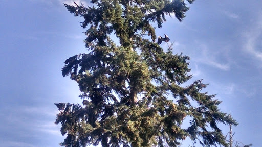 Golf Course «Snohomish Golf Course», reviews and photos, 7805 147th Ave SE, Snohomish, WA 98290, USA