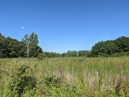 Nature Preserve «Greenbelt Forest Preserve», reviews and photos, 1110 S Green Bay Rd, North Chicago, IL 60035, USA
