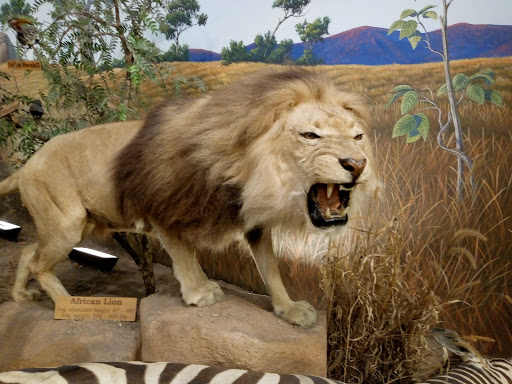 Shopping Mall «Westgate Entertainment District», reviews and photos, 6751 N Sunset Blvd, Glendale, AZ 85305, USA