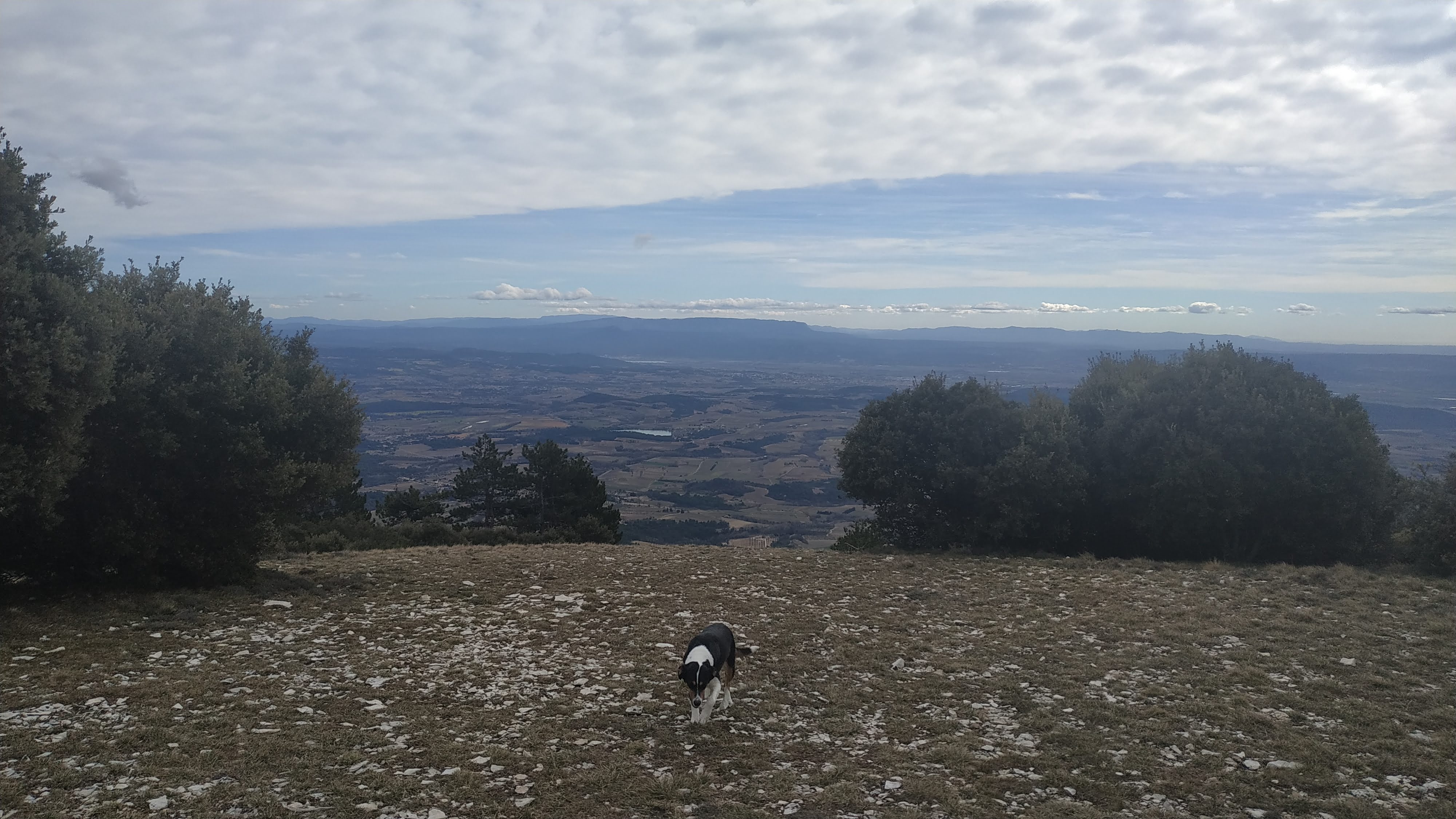 Photo n° 4 de l'avis de Adrien.. fait le 11/03/2019 à 22:42