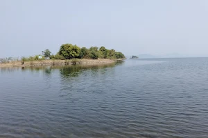 Payali Island image