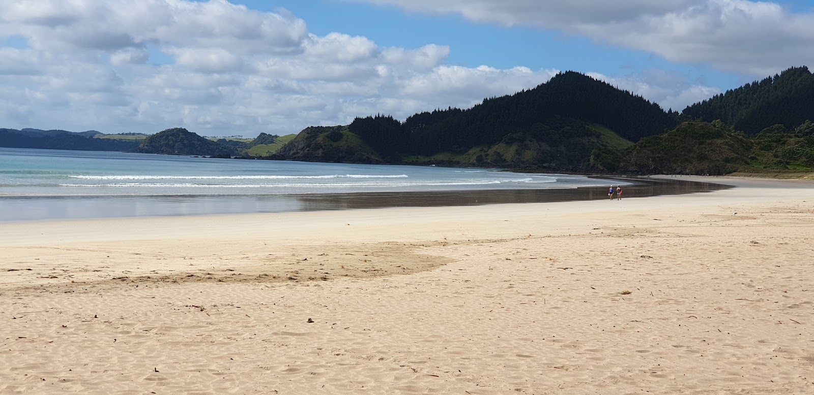 Photo de Whananaki South Beach avec sable lumineux de surface