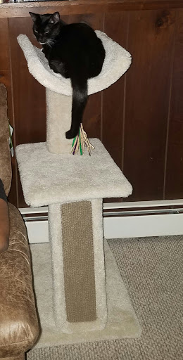 Pet Store «Hometowne Pet & Supply Inc», reviews and photos, 153 NY-94, Warwick, NY 10990, USA