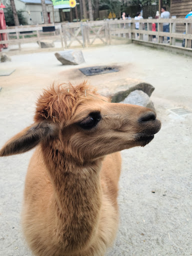 Zoo «Riverbanks Zoo and Garden», reviews and photos, 500 Wildlife Pkwy, Columbia, SC 29210, USA