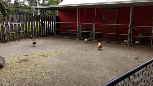 Zoo «Stone Zoo», reviews and photos, 149 Pond St, Stoneham, MA 02180, USA