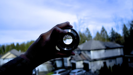 Through The Lens Films