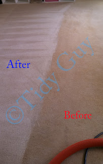 Tidy Guy - Photo 7 - Car repair in , Charlottesville