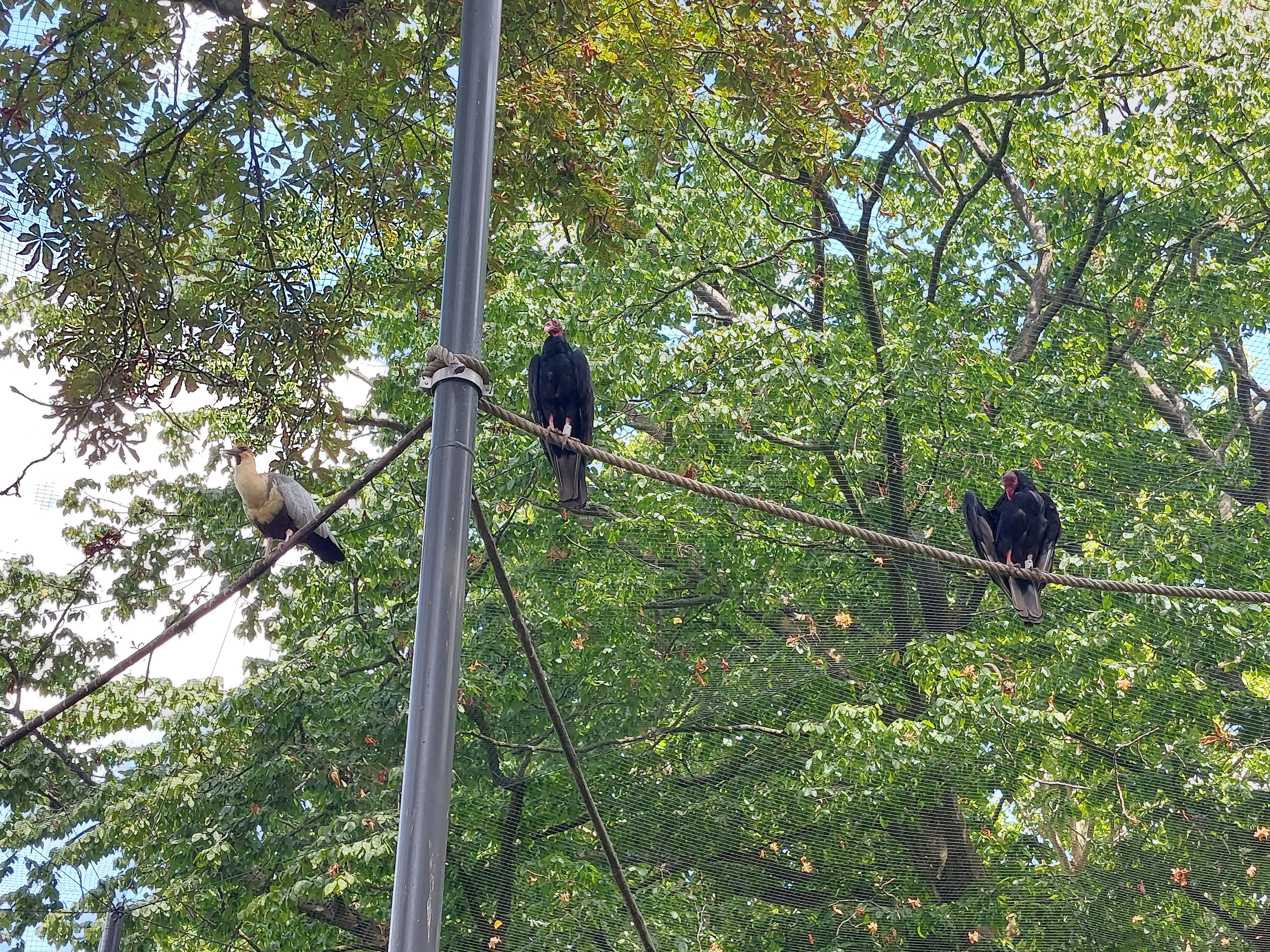 Photo n° 4 de l'avis de Angélique.. fait le 17/08/2022 à 09:50