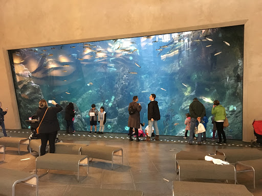 Tourist Attraction «Seattle CityPASS», reviews and photos, 400 Broad St, Seattle, WA 98109, USA