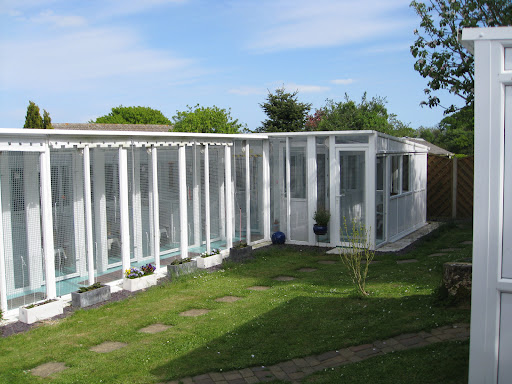 Cat Willows Boarding Cattery