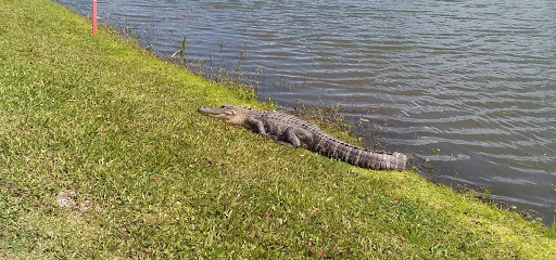 Golf Course «Sandhill Crane Golf Club, a Palm Beach Gardens Signature Facility», reviews and photos, 11401 Northlake Blvd, Palm Beach Gardens, FL 33412, USA