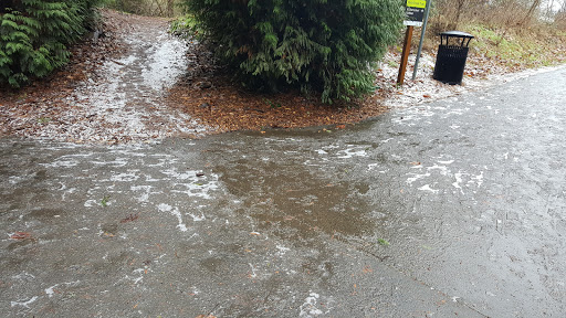 Park «Orchard Park», reviews and photos, 20900 NW Amberwood Dr, Hillsboro, OR 97124, USA