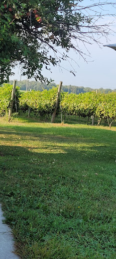 Vineyard «3 North Vines», reviews and photos, 5940 Peck Rd, Croswell, MI 48422, USA