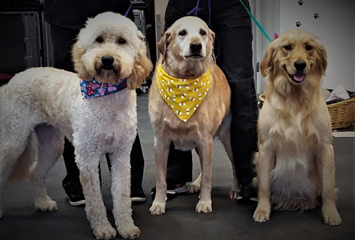 Pet Groomer «A Klassy Lassie, LLC», reviews and photos, 30 Old Jackson Rd, McDonough, GA 30252, USA