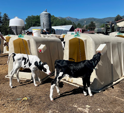 Dairy Store «Heber Valley Milk & Artisan Cheese», reviews and photos, 920 River Rd, Midway, UT 84049, USA