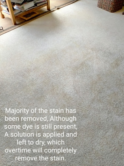 Andy's Carpet Cleaning | Professional Carpet Services | Auckland
