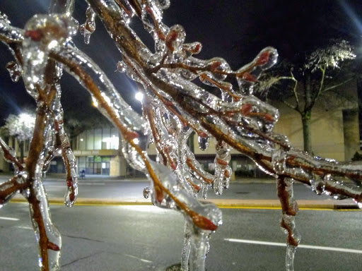 Shopping Mall «White Plains Mall», reviews and photos, 200 Hamilton Ave, White Plains, NY 10601, USA