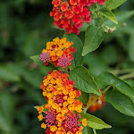 Photo n°10 de l'avis de Nawar. fait le 05/10/2021 à 19:58 sur le  Grand Hotel Timeo, A Belmond Hotel, Taormina à Taormina