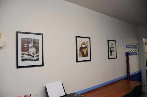 Pet Groomer «Blue Ribbon Dog Grooming LLC Anderson», reviews and photos, 5038 S Scatterfield Rd, Anderson, IN 46013, USA