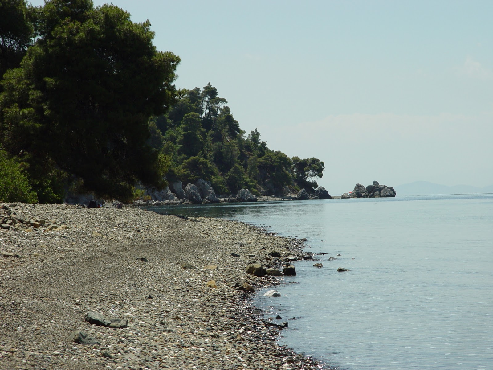 Foto av Galataki beach med grönt vatten yta